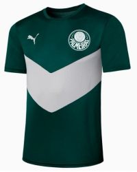 Camisa Prematch Palmeiras 2022 Masculina
